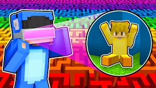 I Cheated In a MAZE Hide and Seek Challenge!