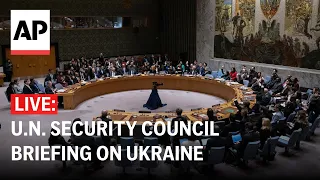 LIVE: UN Security Council briefing on Ukraine