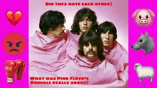 Was Pink Floyd's Animals About Them Fighting?