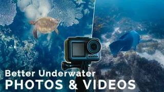 Best Settings for Underwater Photos & Videos for your DJI Osmo Action (or GoPro)