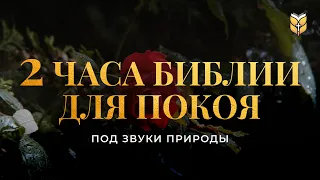 2 часа Библии для покоя под звуки природы. Современный перевод Библии #biblevision