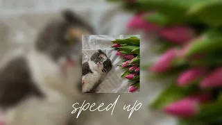 Угонщица 2023 [ speed up ] ~ Мичелз feat. Элона Миллер #музыка #music