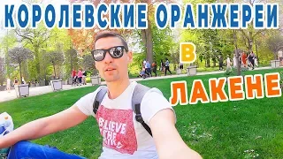 Едем в Брюссель. Королевские оранжереи в Лакене #8