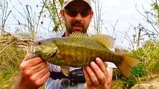 Slaying Smallmouth Kayaking the Little Pigeon River