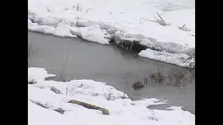 В Марий Эл начался паводок