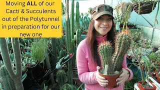 Moving ALL our Cacti & Succulents out the Polytunnel in preparation for our new one #cactus