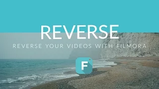 Best Reverse Video Ideas