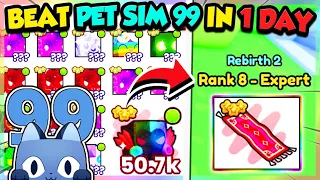 PET SIMULATOR 99 *COMPLETE* IN 1 DAY!! MAX REBIRTHS!! (Roblox)