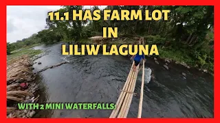 11.1 has Farm Land in Liliw Laguna for Sale (Lot Code 2322)