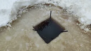 Съёмка с пруда, смотрим что подо льдом