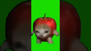 apple cat running green screen #youtube #roblox  #bloxfruits #bloxfruts #youtuber #explore