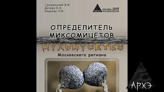 Владимир Гмошинский: "Скрытая красота миксомицетов (презентация книги)"