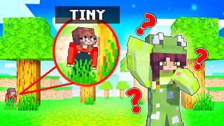 PRANKING my friend by turning TINY in Minecraft!