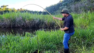 TEM QUE SER VARA DE BAMBU PRA AGUENTAR OS PEIXES DESSE LUGAR, /PESCARIA DE TRAÍRA COM VARA DE BAMBU.