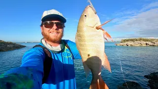 TROPICAL REEF FISHING ON THE ROCKS! | Exumas Island Catch Clean Cook | Sailing the Bahamas Pt 15