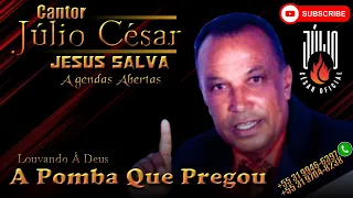 Cantor Júlio César  - A Pomba Que Pregou