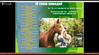 Бесплатный вебинар: Творчество в работе, развитии и воспитании лошадей 31 мая 19-00 Мск