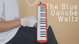 Johann Strauss II - The Blue Danube Waltz (played on the melodica and on the table??)