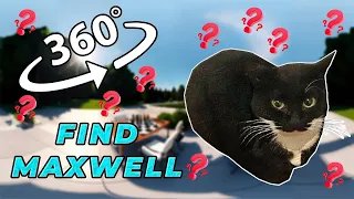 Maxwell The Cat 360° - FIND MAXWELL| VR/360 Video 🔎