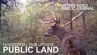 Horizontal Rub Update w/Ted Miller | The Hunting Public