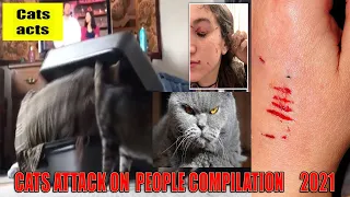 CATS ATTACK ON  PEOPLE COMPILATION   A MUST WATCH VIDEO OF 2021 CRAZY CATS BEHAVIOR   #CatsActs #29