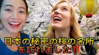 日本の秘密の桜の名所を訪れました! #japaneseculture #sakura #ohanami #reaction #海外の反応