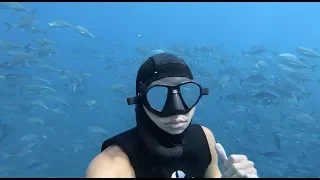 태국 프리다이빙! Freedive Thailand! The best dive site around Koh Tao.