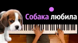 Собака любила ● караоке | PIANO_KARAOKE ● ᴴᴰ + НОТЫ & MIDI