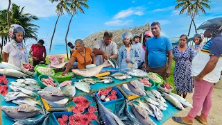 Astonishing!! Picturesque The Village's Best Street Fishmarket In Sri Lanka