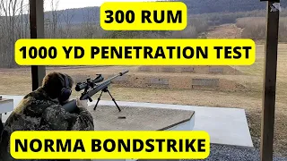 300 RUM 1,000 Yard Penetration Test - Norma Bondstrike