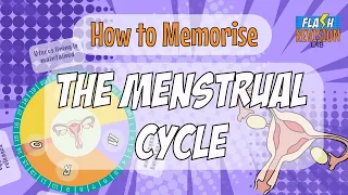 GCSE Biology Memorising Trick in 75 Seconds | The Menstrual Cycle