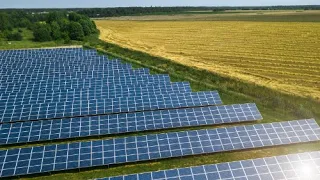 Fields of Innovation: Solar Farm to Table