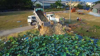 New Project!! Dozer D20 & Truck 5T Pushing stone on pond Road widening