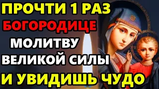 ВКЛЮЧИ МОЛИТВУ БОГОРОДИЦЕ ВЕЛИКОЙ СИЛЫ И УВИДИШЬ ЧУДО! Молитва Богородице! Православие