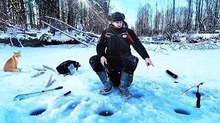 Зимняя рыбалка в тайге. Настоящая русская рыбалка на ленка и хариуса. Посвящение в рыбаки.