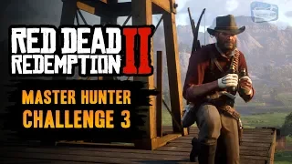 Red Dead Redemption 2 Master Hunter Challenge #3 Guide - Track 10 different animal species