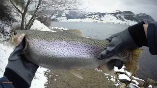 MONTANA FLY FISHING FOR RAINBOW TROUT,