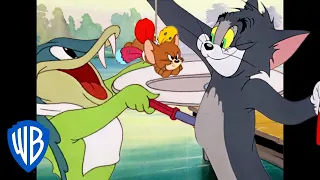 Tom y Jerry en Español | La primavera se respira en el ambiente | WB Kids