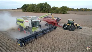 2022 Soybean Harvest near Whitewater Indiana