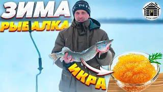 Зимняя рыбалка. Рецепт приготовления щучьей икры