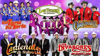 Los Tucanes De Tijuana, Los Tigres del Norte, Los Huracanes del Norte, Invasores De Nuevo Leon