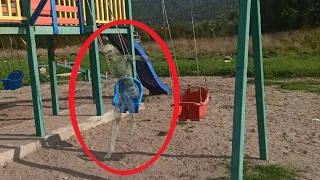 I Capture Creepy Video of "Ghost Swing" Moving in Playground