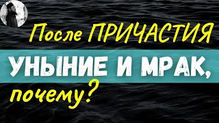 Почему после причастия сильное уныние?Максим Каскун