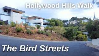 Birdsong in the BIRD STREETS | Relaxing HOLLYWOOD HILLS Walk with Modern Homes and Views of L.A.