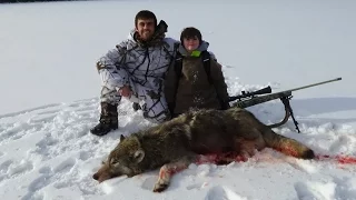 "WESTERN MONTANA WOLF HUNTING 1"