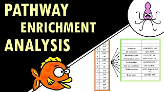 Pathway enrichment analysis - simple explanation!