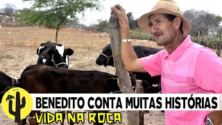 [VIDA NA ROÇA] Histórias e Sítio do Agricultor e YouTube: BENEDITO SILVA - Parte 03 🌵