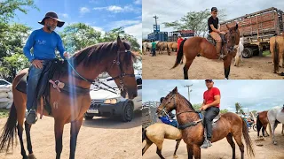 FEIRA DE CAVALO DE CARUARU PE, TERÇA FEIRA, 21.05.24 #nordeste