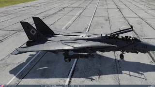 Быстрый запуск самолета F-14B "Tomcat" в DCS World 2.5