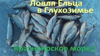 Зимняя Рыбалка, Ловля Ельца, КВХ